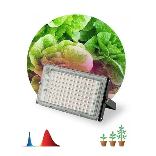 Plant Grow Light фитосветильник 100 Вт