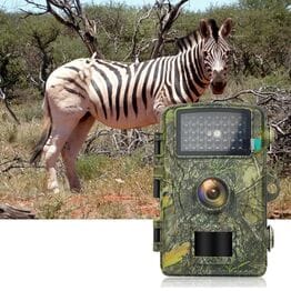 Камера фотоловушка с функцией ночного видения Камера фотоловушка с функцией ночного видения