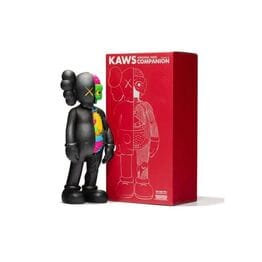 Kaws Companion Anatomy фигурка 20 см Kaws Companion Anatomy фигурка 20 см