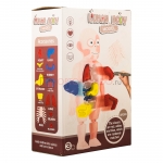 Human Body Model игрушка