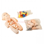 Human Body Model игрушка