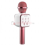 DS 878 Караоке микрофон Hi Fi Speaker