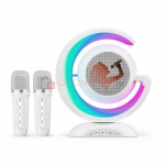 Портативный Bluetooth динамик с 2 микрофонами YS-110