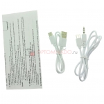 Микрофон караоке Wster WS 898