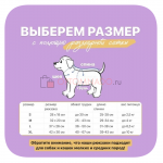 Рюкзак кенгуру для переноски собак и кошек