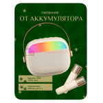 Колонка караоке с подсветкой 2 микрофона