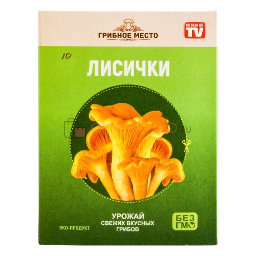 Грибы «Грибное место»