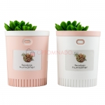 Мини увлажнитель воздуха Succulents Humidifier